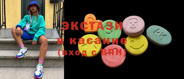 мдпв Туринск