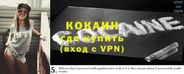 индика Тихвин