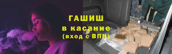 мдпв Туринск
