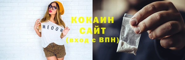 мдпв Туринск