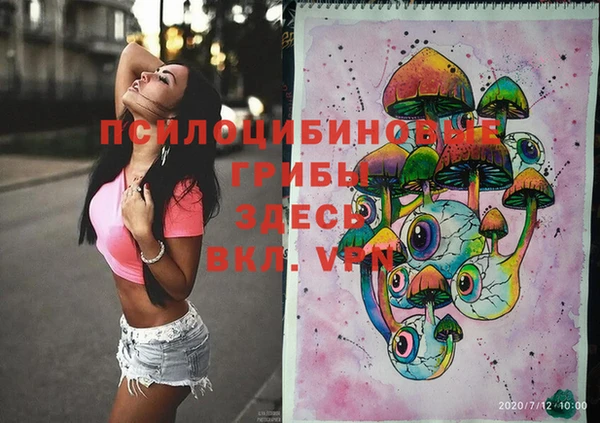 индика Тихвин