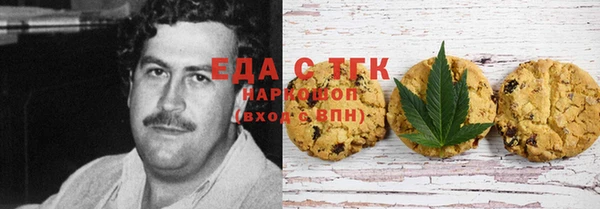 индика Тихвин