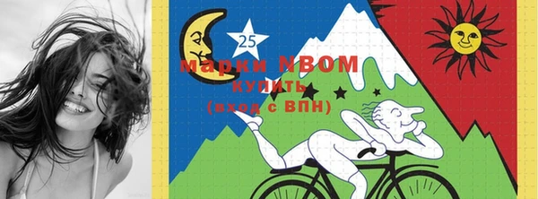 индика Тихвин