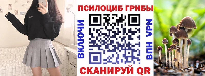 Галлюциногенные грибы MAGIC MUSHROOMS  Купить где  Красногорск 